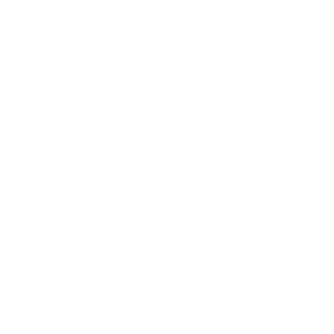 MAPS LOGO WEB