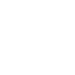 WAZE LOGO WEB